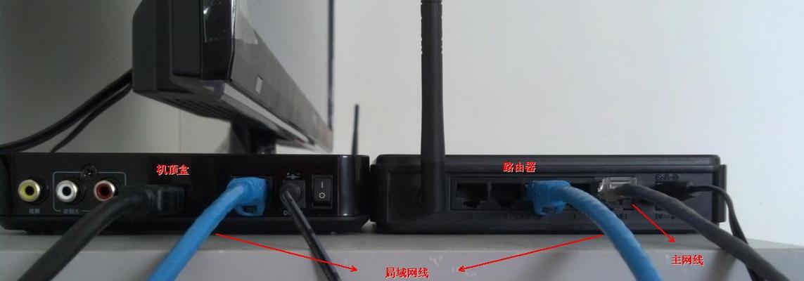 如何将家用猫连接到路由器（简单步骤让您轻松实现家用猫与路由器的连接）