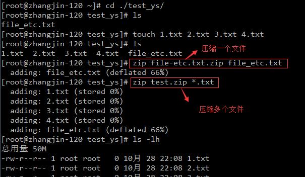 Linux常用命令解压zip文件的步骤（学会使用Linux命令轻松解压zip文件）