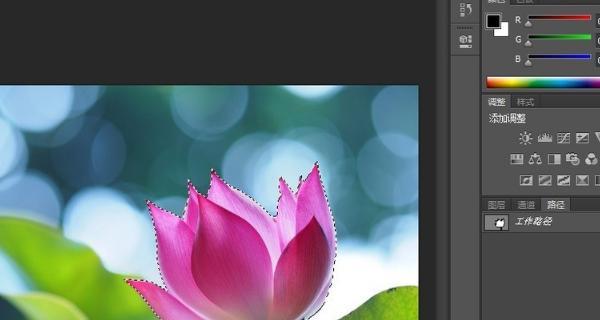 PS初学者基础教程（轻松学习Photoshop）