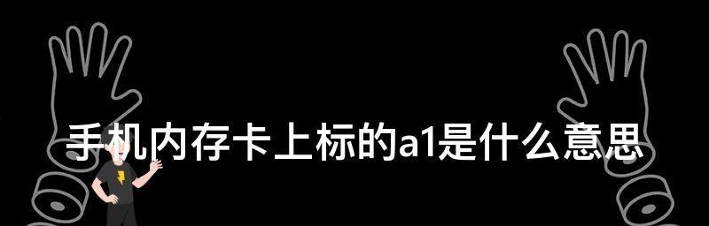 名牌内存卡排名大揭秘（全面解读市面上十大品牌内存卡排名及其优缺点）