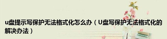 U盘保护问题解决方法（如何解决U盘无法格式化的问题）