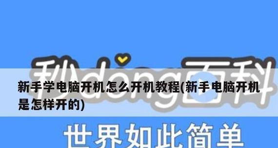 如何选择一台适合新手的笔记本电脑（从配置、价格、品牌等方面详解）