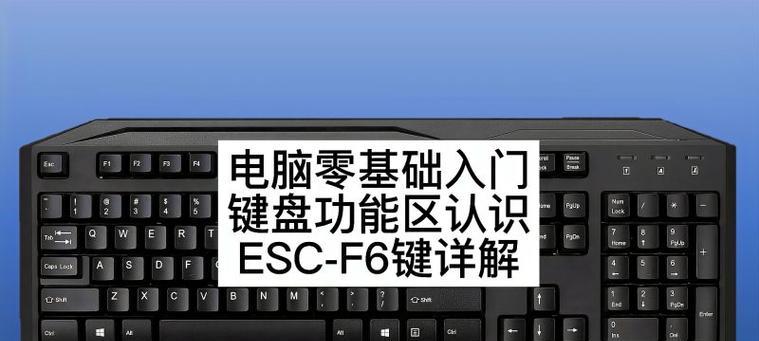 初学电脑入门知识（轻松掌握电脑的基本操作技巧）
