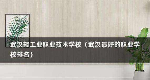 2024年全国职业技术学院排名揭晓（了解全国职业技术学院排名）