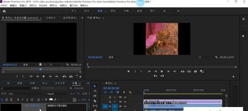 如何提取视频中的字幕（掌握这些技巧）