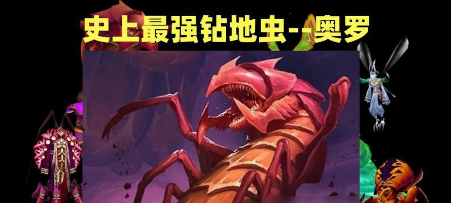 魔兽世界巫妖王圣骑士的评价如何？