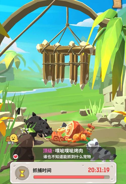 手机拍照如何设置捕捉宠物？最佳设置是什么？