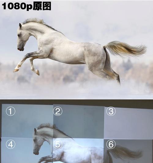 动物投影仪有哪些玩法？如何操作？