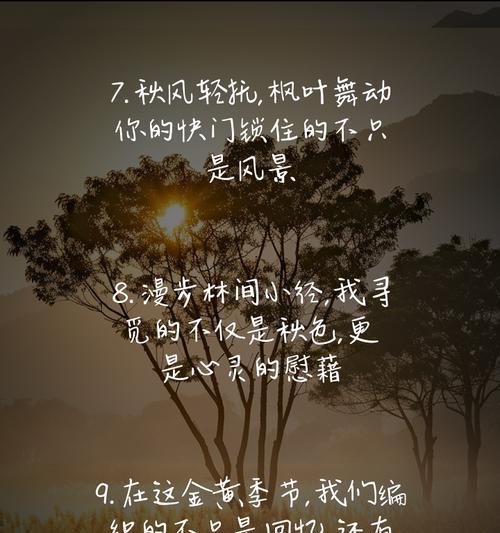 手机拍照的文案句子怎么写？写文案时应该注意什么？