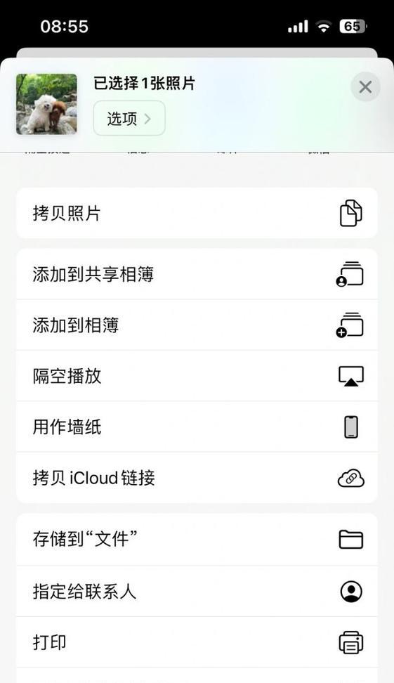 苹果手机拍照时如何显示时间？