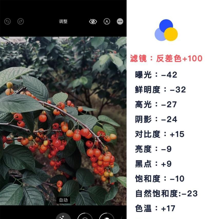 手机拍照算法调色技巧有哪些？如何调整以获得最佳效果？