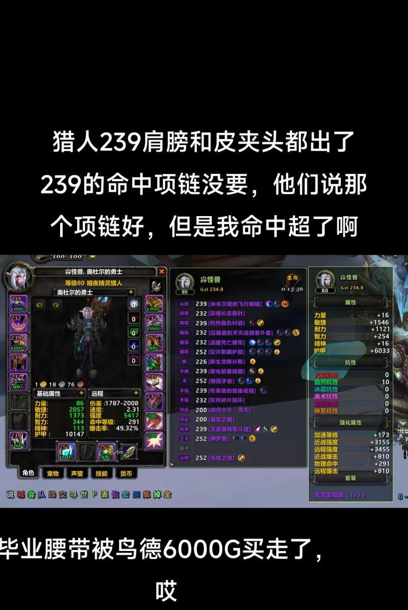 魔兽世界中猎人的输出技巧有哪些？如何提升猎人的输出效率？