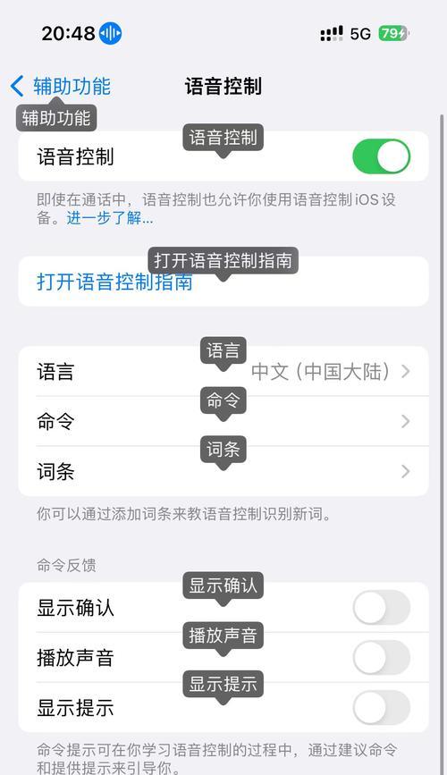 苹果45语音控制功能如何开启？