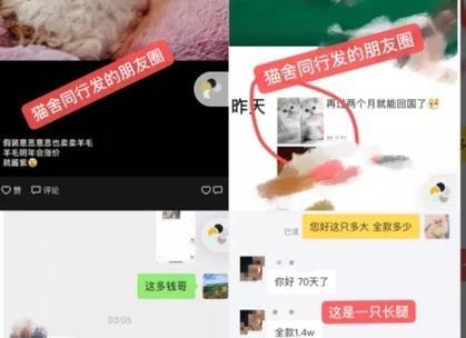 英雄联盟梯步操作技巧有哪些？