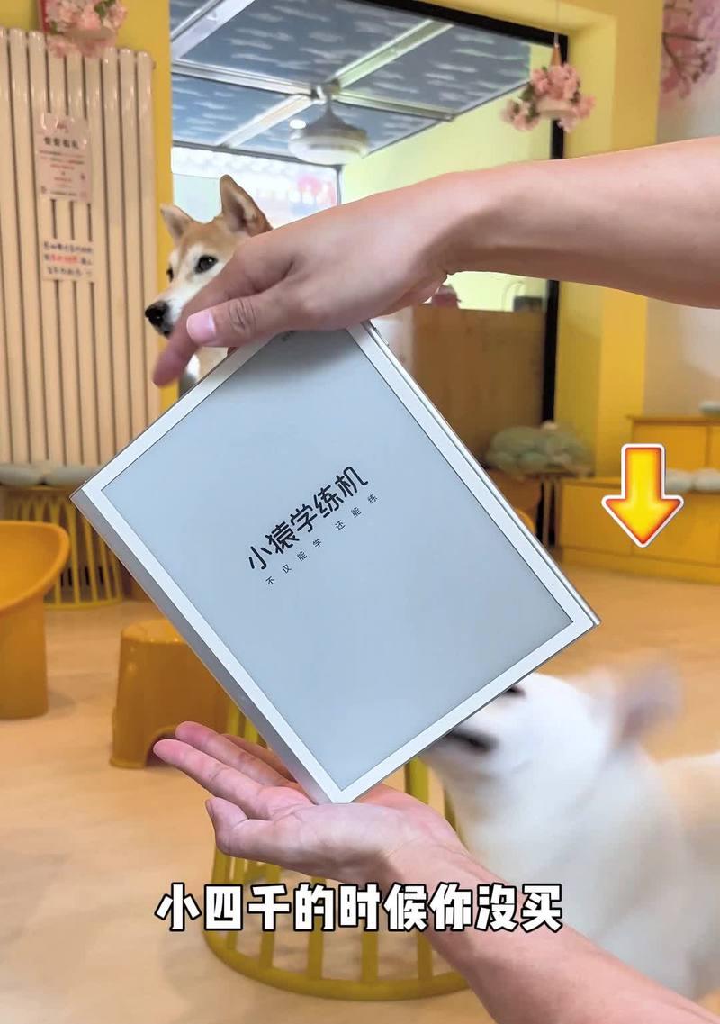 张雪峰智能手表性能评价如何？适合哪些人群？
